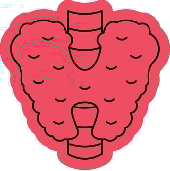 Thyroid Checkup Symbol vector