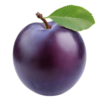 A single fresh purple plum with bright green leaf resting pure png