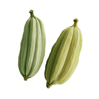 Two green cardamom pods are displayed clean, minimalist png