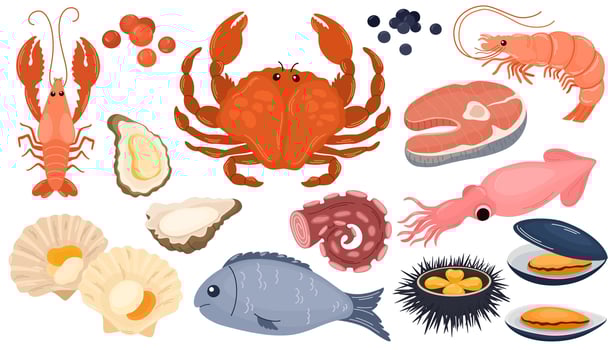 Cartoon raw seafood. Sea fish gourmet food, crayfish squid shrimp salmon crab trout shellfish, lobster, ocean red meat recipe, healthy meal fresh tuna neat. illustration isolated vector