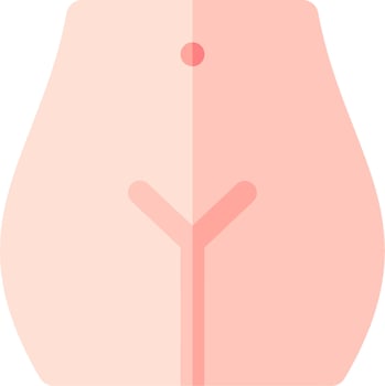 An illustration of a woman's butt vector