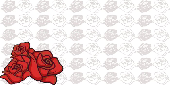 a red rose on a white background with a black border vector