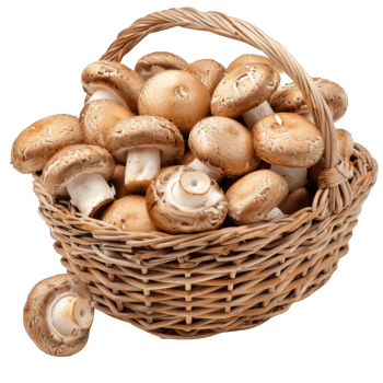 Brown Mushrooms in a Wicker Basket png
