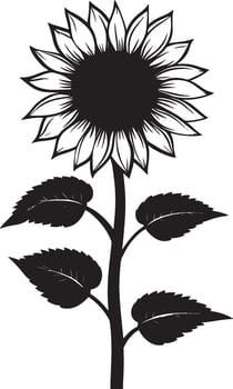 a black and white sunflower with leaves vector