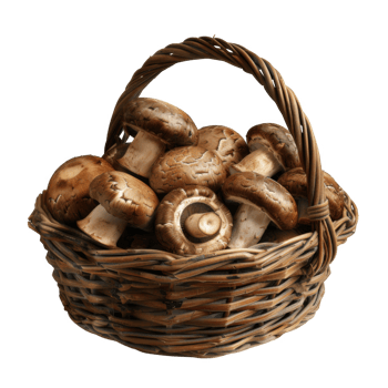 Brown Mushrooms in a Wicker Basket png