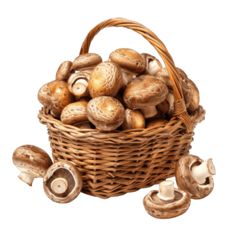 Wicker Basket Overflowing with Fresh Brown Mushrooms png