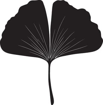 Ginko leaf clean simple icon silhouette black vector