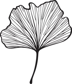 Ginko leaf clean simple icon outline black vector