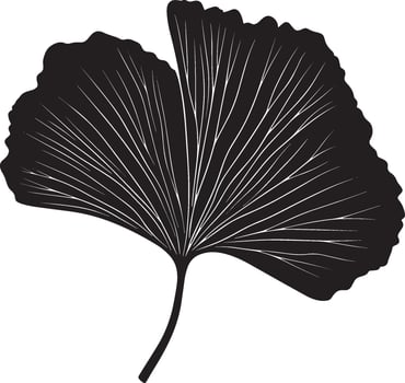 Ginko leaf clean simple silhouette black vector