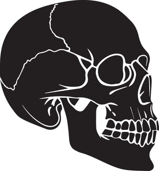 Creepy Skull Illustration for Halloween Projects vector