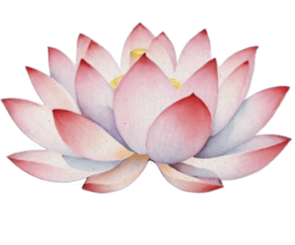 Lotus Flower Watercolor png