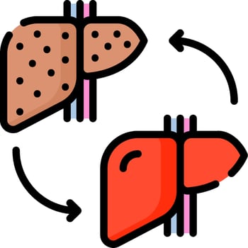 Liver and pancreas icon vector