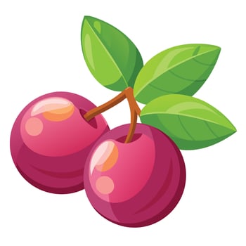 Two cherries with leaves on a white background vector