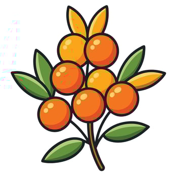 Orange fruit with leaves and leaves illustration vector