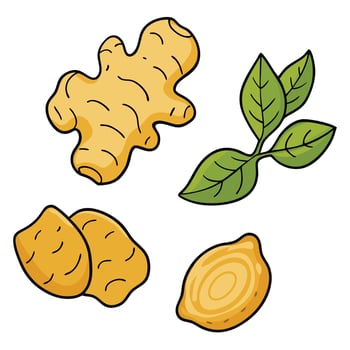Ginger, ginger, and lemon on a white background vector
