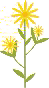Spring Flower Illustration with Yellow Color. vector