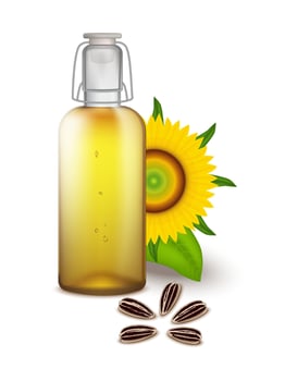 Realistic Sunflower Oil on White Background. Shiny Bottle of Pure Golden Cooking Oil Standing Next to Blooming Sunflowers. Natural Food for Advertising, Website, Banner, etc. vector