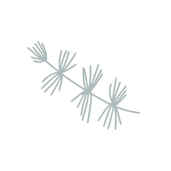 christmas branch pine tree element hand drawn winter illustration vector