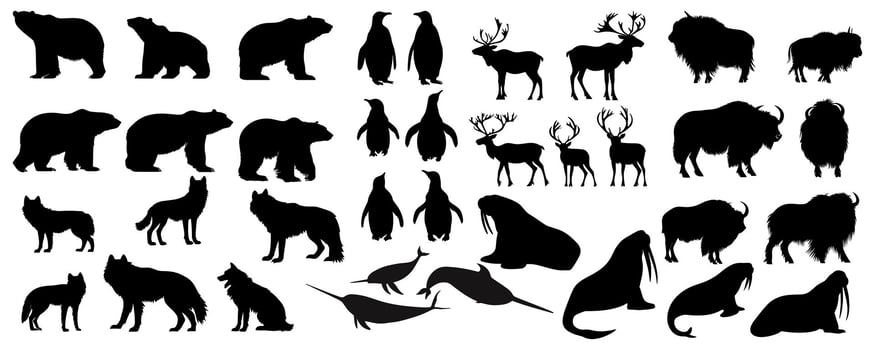 set of silhouette black and white of arctic animal. vector