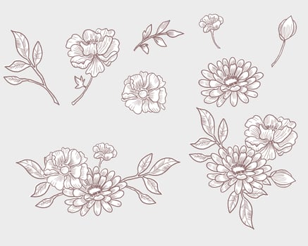 Hand Drawn Dahlia and Anemone Flower vector