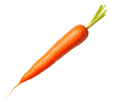 One Ripe Carrot png