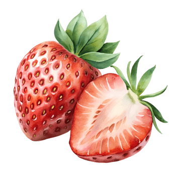 Watercolor hand drawn strawberry with leaves stems png