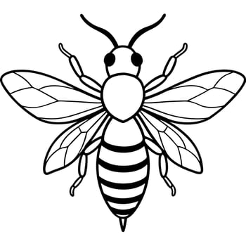 Bee coloring pages free printable coloring pages vector