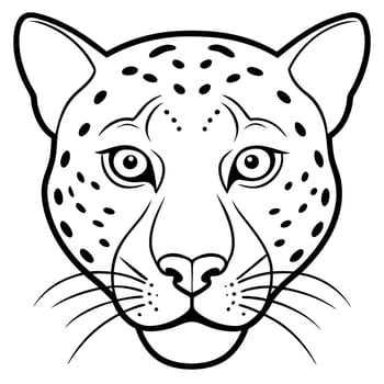 a amur leopard head with white background, illustration line art vector