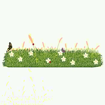 thick grass with flowers, butterflies and ladybugs. vector