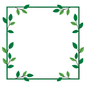 A big square frame decorated with green leaves and vines surrounds an empty white space cutouts png
