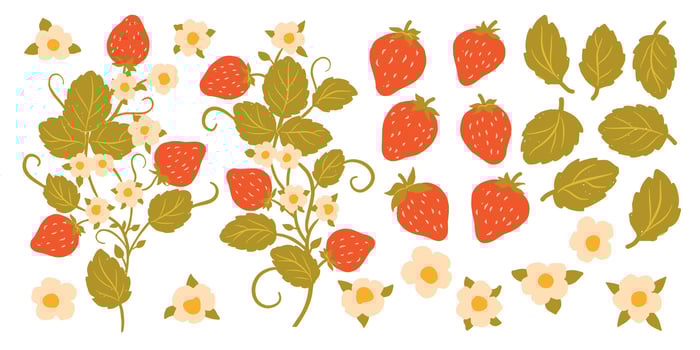 Red Berry Strawberry and Plant Branches Design Elements. Flat Set Flower, Petal, Strawberry Isolated on White Background vector