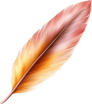 Single orange and pink bird feather isolated transparent background png
