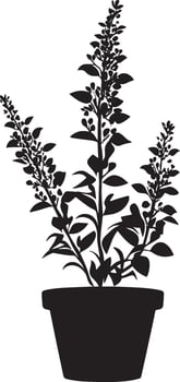 Heather flower in pot clean simple silhouette black vector