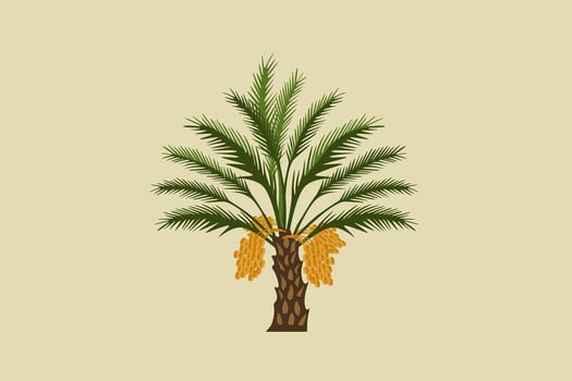 Date palm with fruit vector