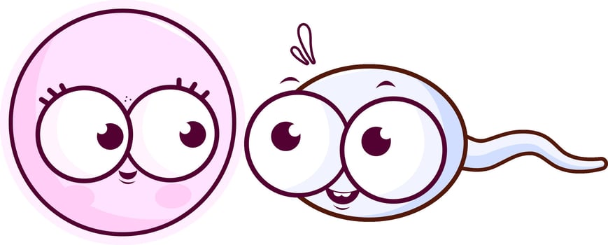 Cartoon human egg cell and sperm. Reproduction female egg and male sperm characters. Sperm Swim to Ovum Cell. Laboratory Science Concept. Cartoon illustration vector