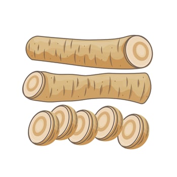 Illustration Logo Clipart Cartoon Horseradish Root vector