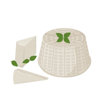 Illustration Logo Clipart Whole and Slice Ricotta Italian Cheese vector