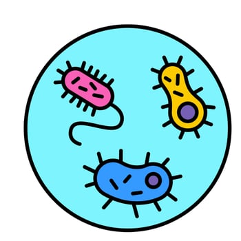 Bacteria Under Microscope vector