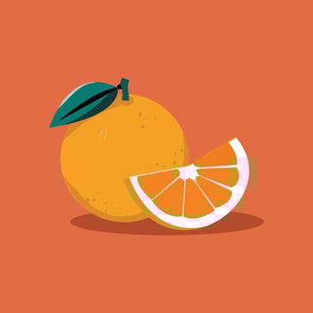 Orange Fruit Cartoon Icon Illustration. Food Nature Icon Concept Isolated Premium . Flat Cartoon Style vector