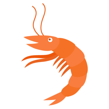 shrimp icon illustration png