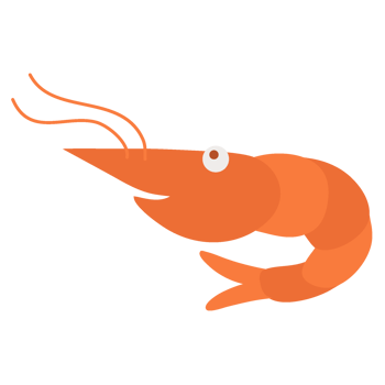 shrimp cartoon illustration png