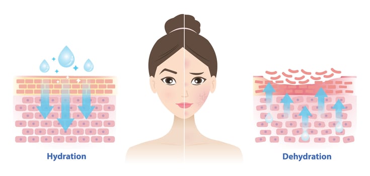 Comparison of hydration and dehydration skin on woman face illustration on white background. The mechanism of skin absorb water, moisture and dry skin lacks water in the uppermost layer. vector