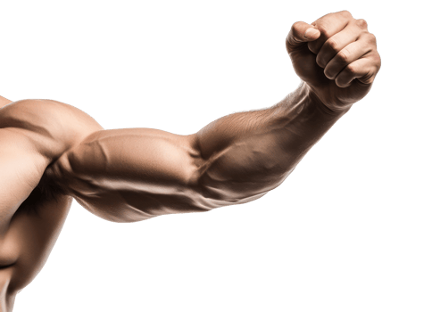 Muscular male arm demonstrating bicep strength isolated on transparent background png