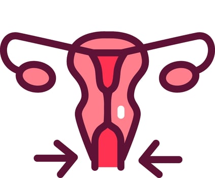 A woman's uterus with two arrows pointing to it vector
