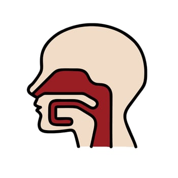 A person's head with a red line running down the side vector