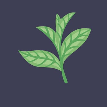 Green tea leaves, hand drawn illustration vector