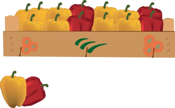 Fresh yellow and red bell peppers inside wooden crate vector