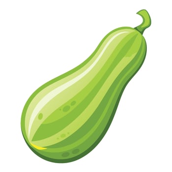 Culinary Gem The Perfectly Shaped Zucchini vector