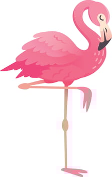 Pink flamingo is standing on one leg, with its neck curved in an elegant s shape. Its plumage is a beautiful shade of pink vector