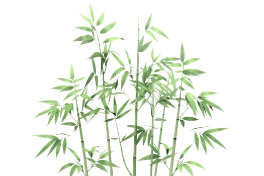 Lush green bamboo stalks with leaves, isolated on a transparent background. Ideal for nature, environment, or botanical themes. png